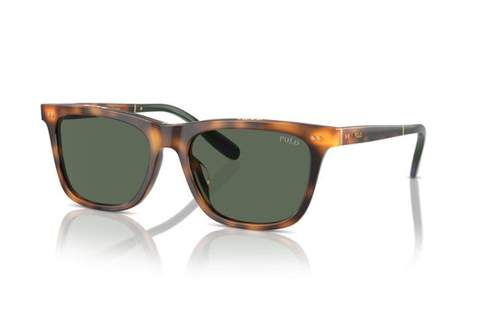 POLO RALPH LAUREN  PH 4205U 6089/71