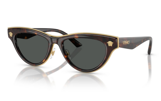 VERSACE 2273 108/87